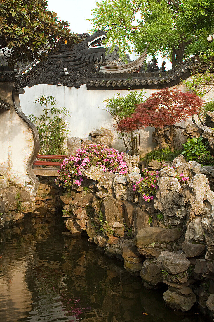 Drachenwand und Teich im Yu Yuan Garten, Shanghai, China, Asien