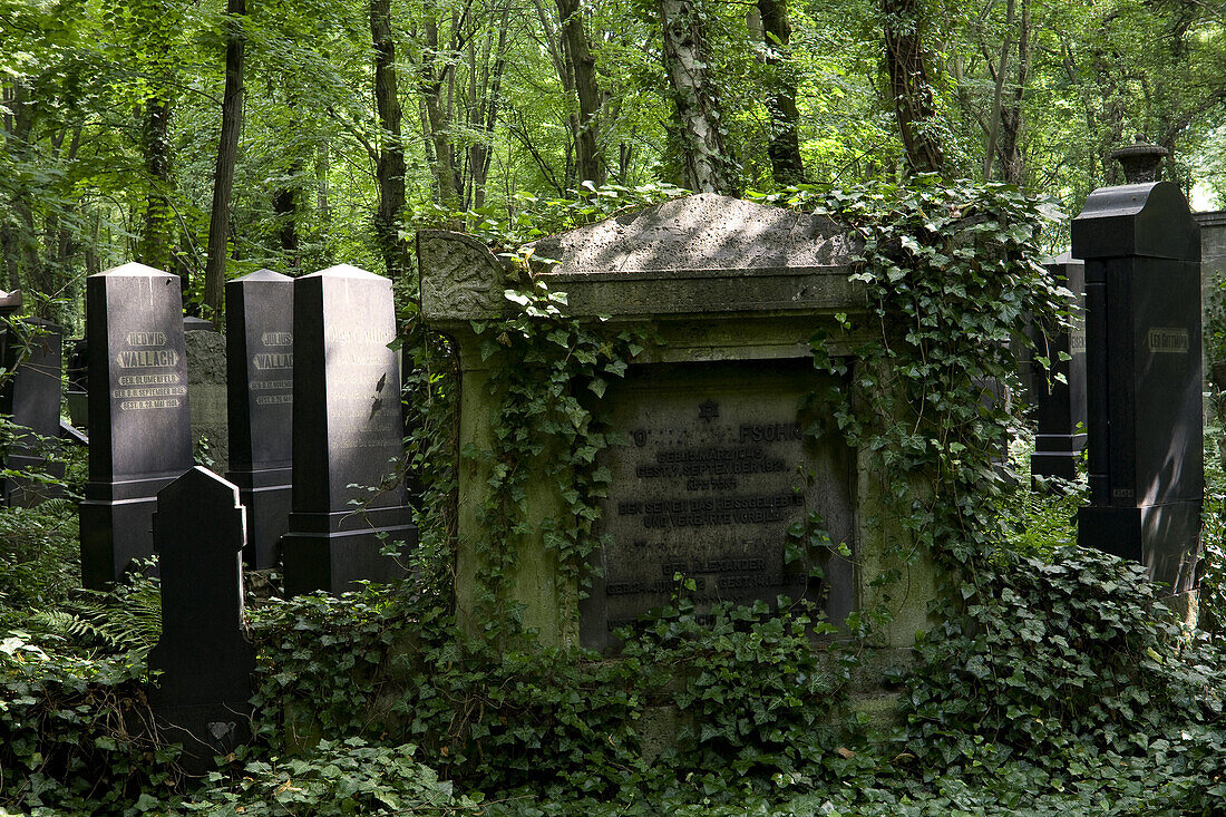 Jüdischer Friedhof, Berlin-Weissensee, Er gilt als der größte erhaltene jüdische Friedhof Europas, Berlin, Deutschland, Europa