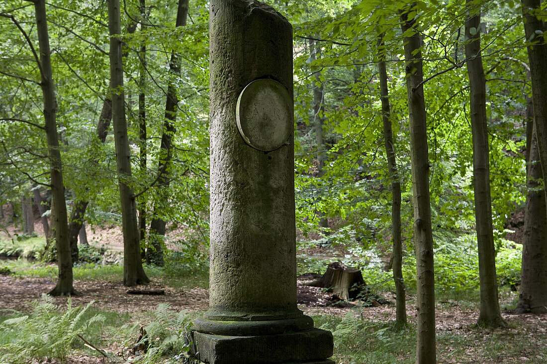 Landschaftsgarten Seifersdorfer Tal, Wachau, Seifersdorf bei Dresden, Sachsen, Deutschland, Europa