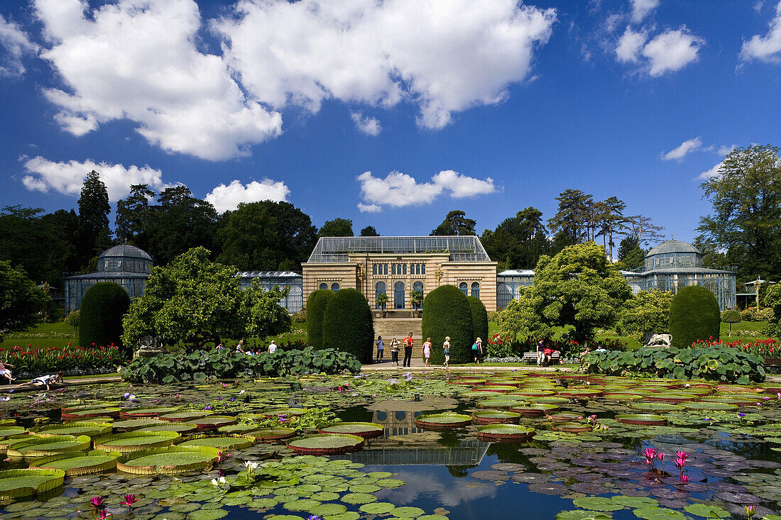 Zoological and botanical garden Wilhelma, The Moorish Garden with the largest water lilies in the world, Stuttgart, Baden-Württemberg, Germany, Europe