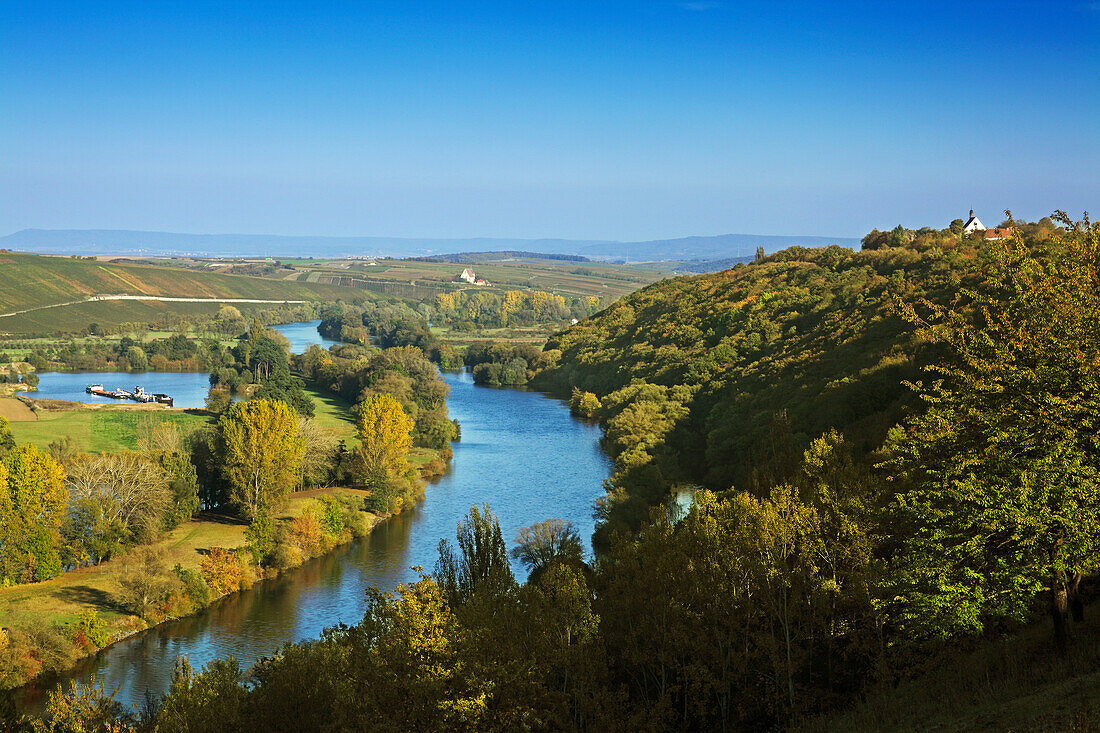 Mainschleife bei Volkach, Mainfranken, Franken, Bayern, Deutschland