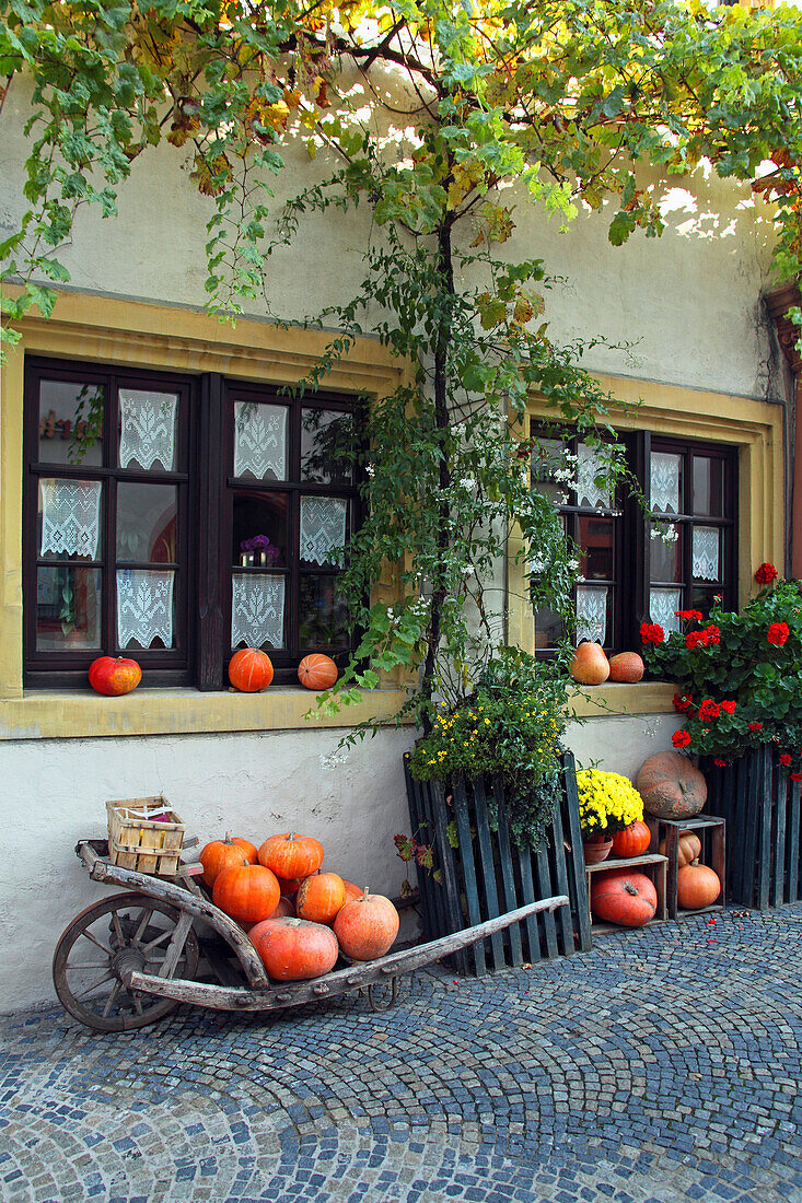 Dekoration mit Kürbissen, Prichsenstadt, Mainfranken, Franken, Bayern, Deutschland