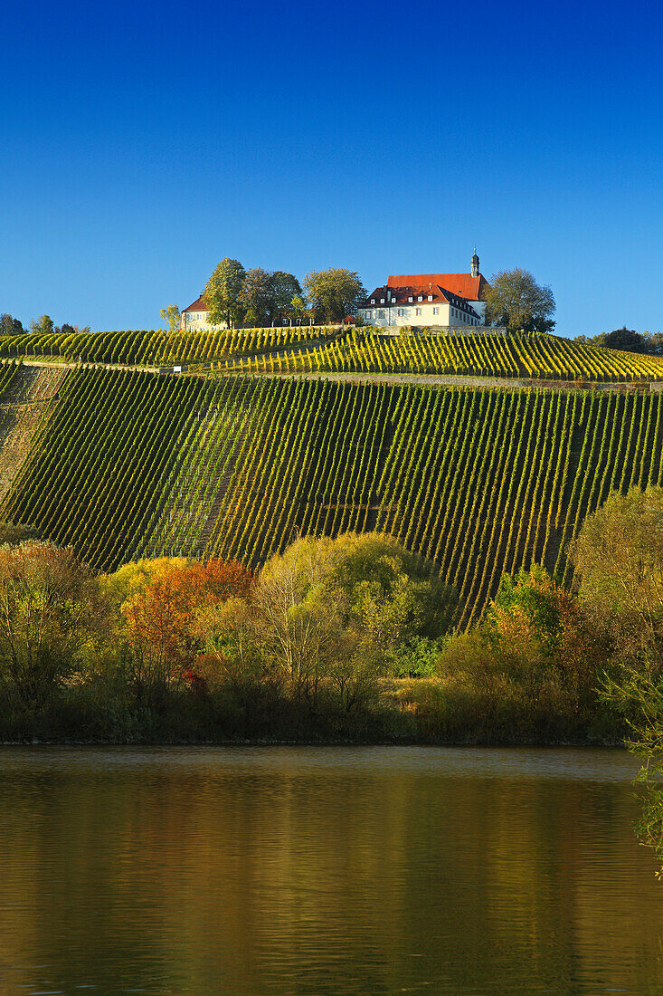 Blick über den Main auf Weinberge und Kloster Vogelsburg, Volkach, Mainfranken, Franken, Bayern, Deutschland