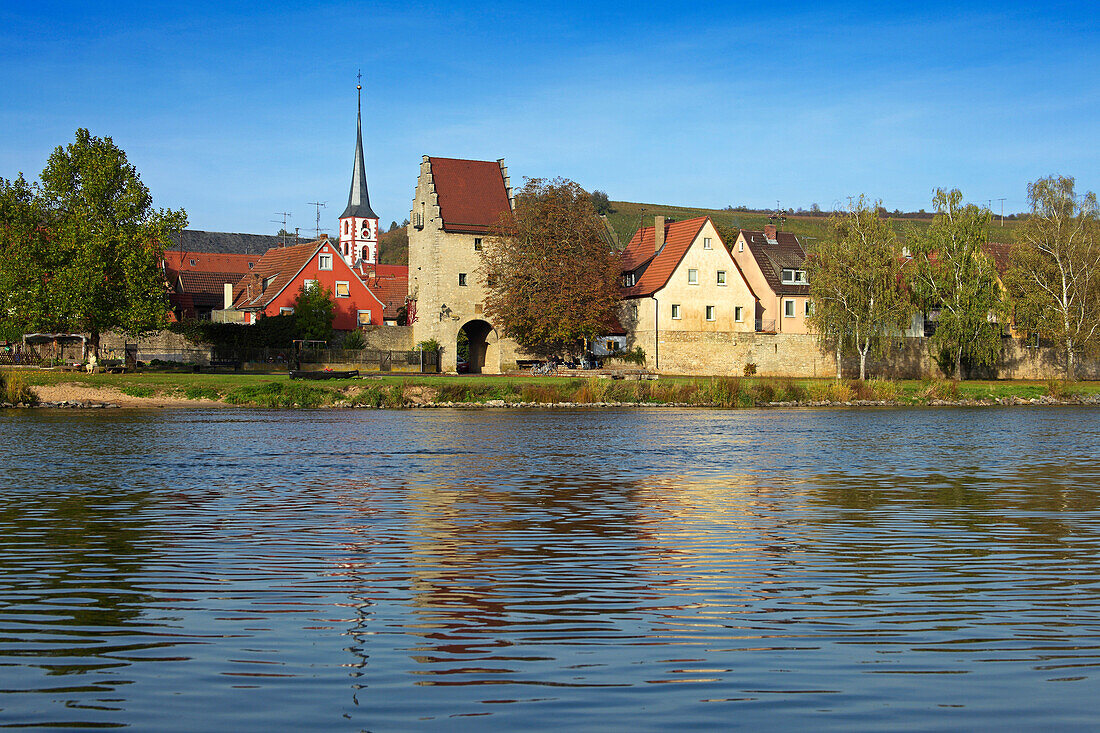 View over Main river to Frickenhausen, Franconia, Bavaria, Germany