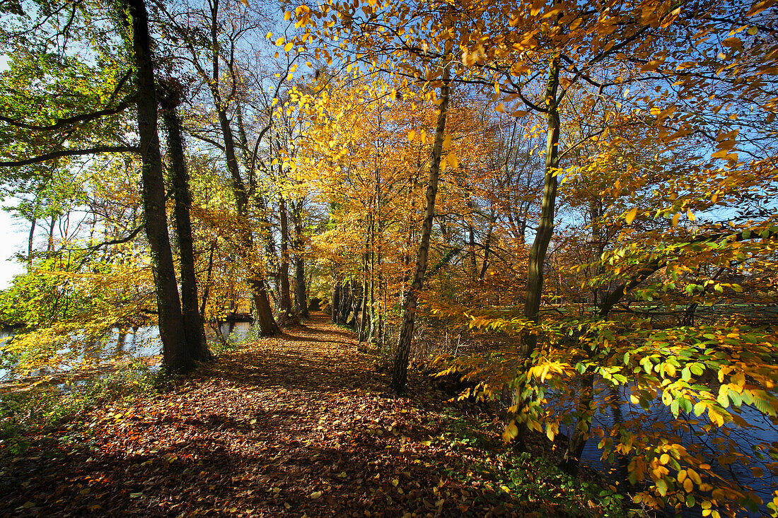 Scenery near Vischering castle, Luedinghausen, Muensterland, North Rhine-Westphalia, Germany