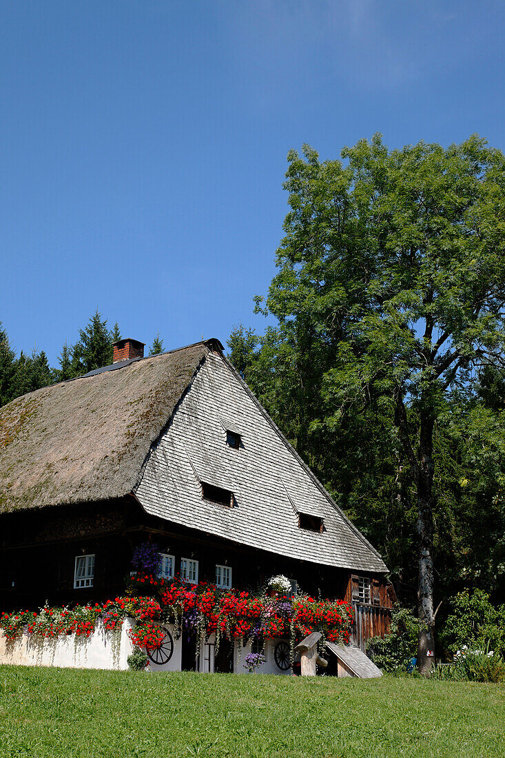 Rankhof, Sankt Maergen, Baden-Wurttemberg, Germany