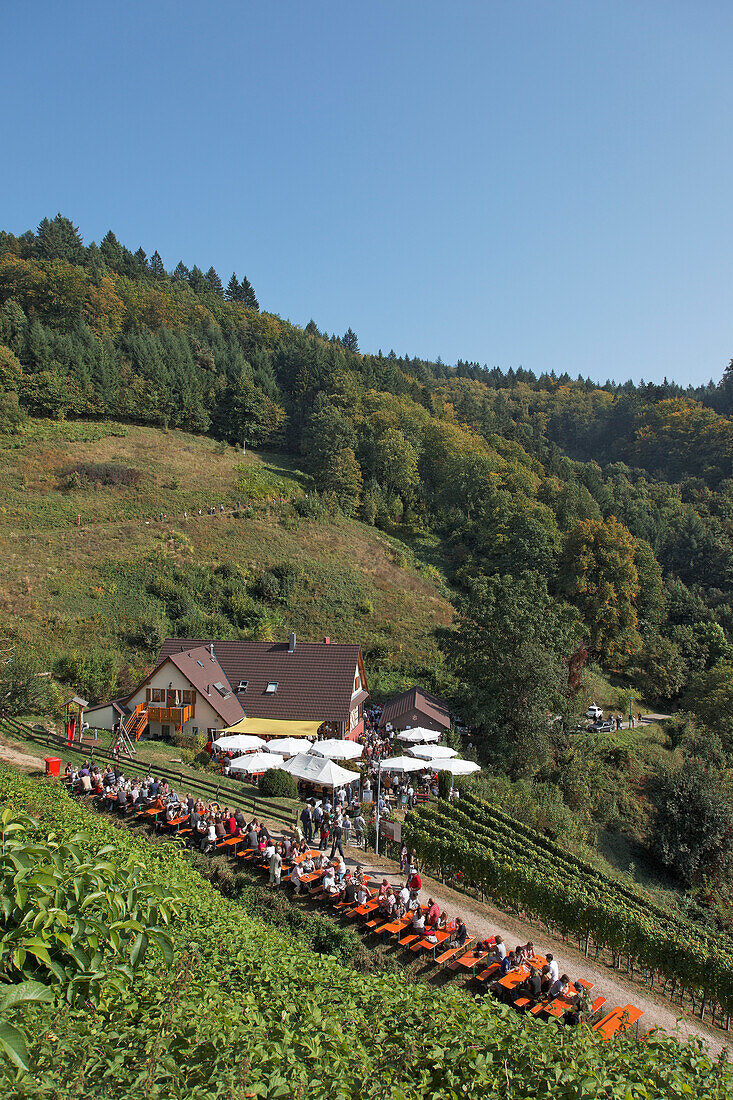 Restaurant in a vineyard, Oberkirch, Baden-Wurttemberg, Germany