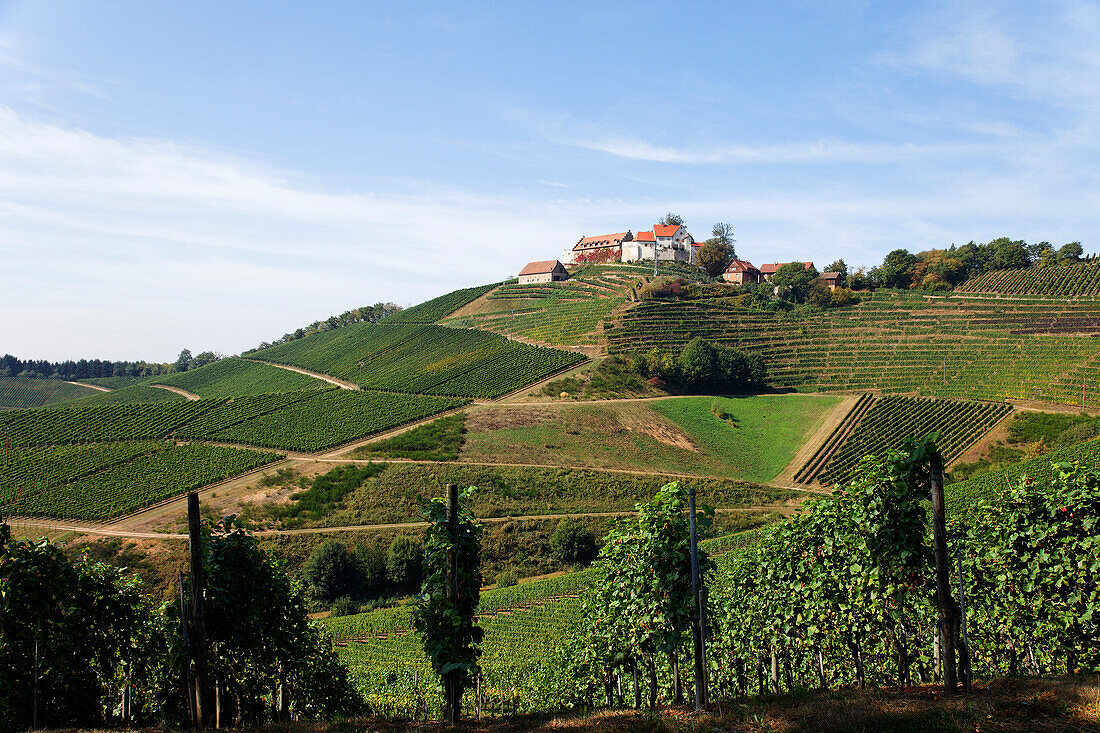 Staufenberg castle, Durbach, Baden-Wurttemberg, Germany