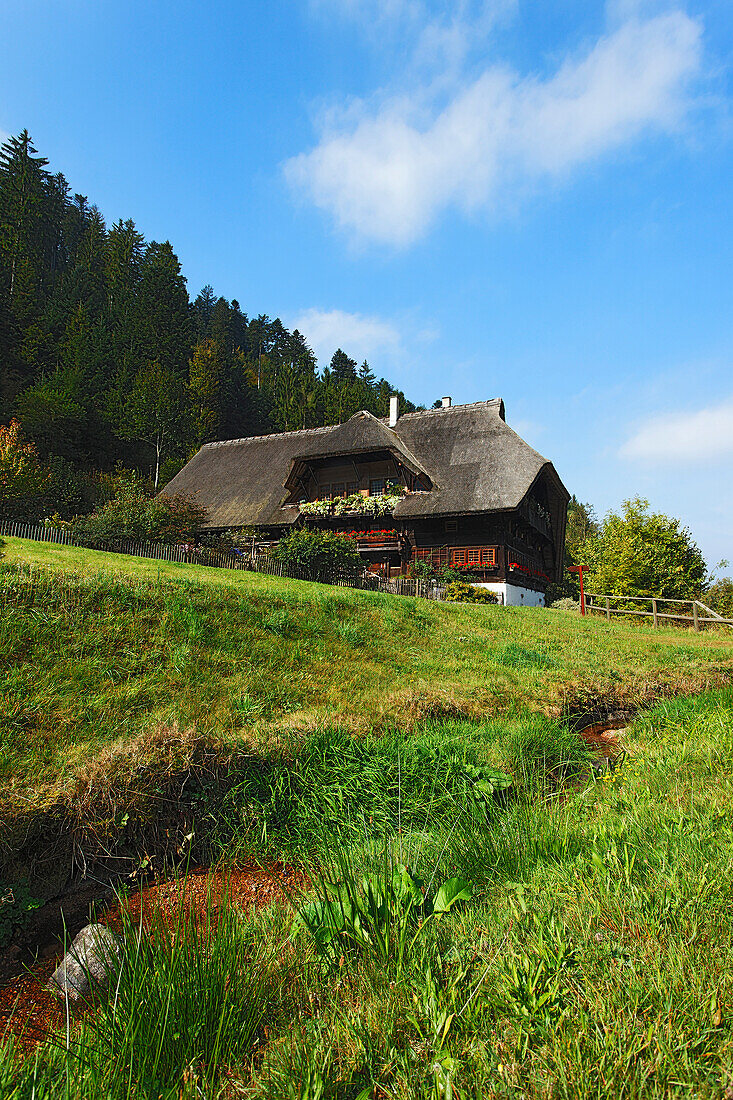 Farm in the Black Forest, Kirnbach Valley, Wolfach, Baden-Wurttemberg, Germany