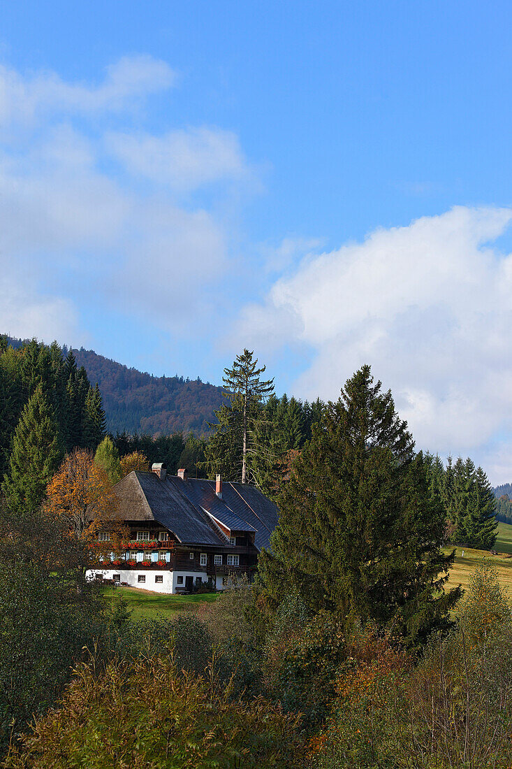 Black forest farm near Bernau im Schwarzwald, Baden-Wurttemberg, Germany