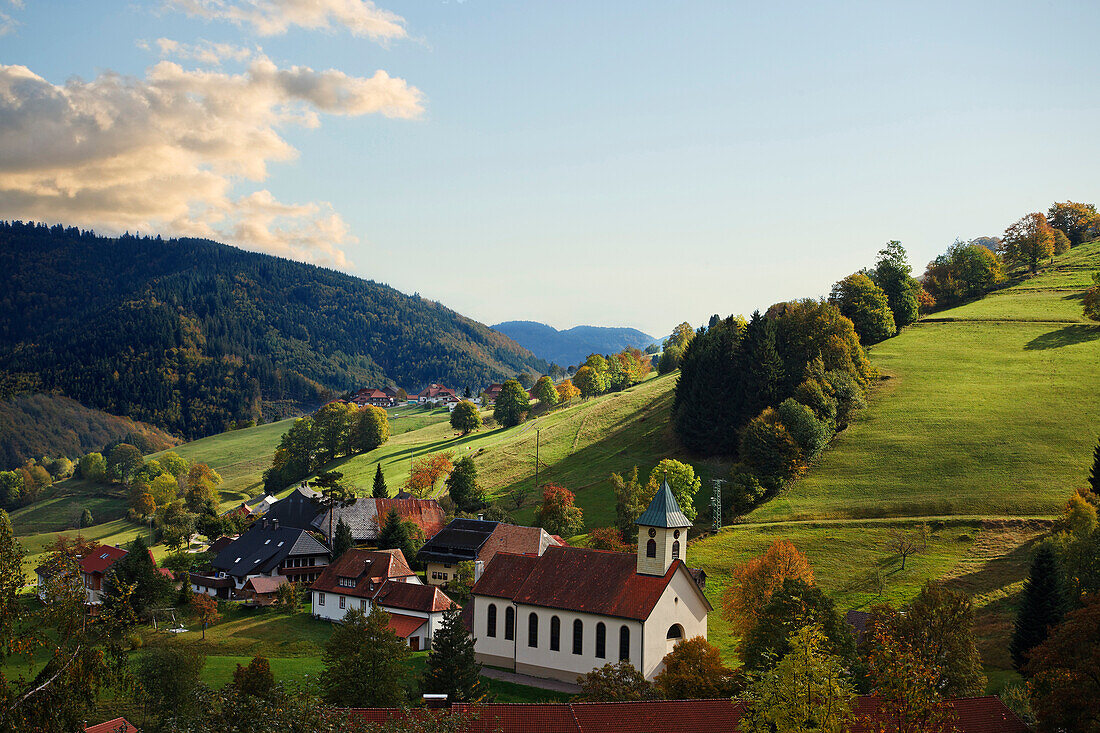 View over Wiedener Eck with church, Wieden, Baden-Wurttemberg, Germany