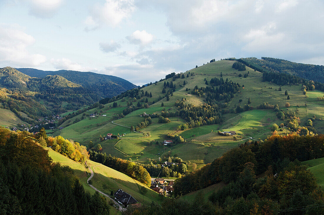 View over Obermunstertal in Autumn, Munstertal, Baden-Wurttemberg, Germany