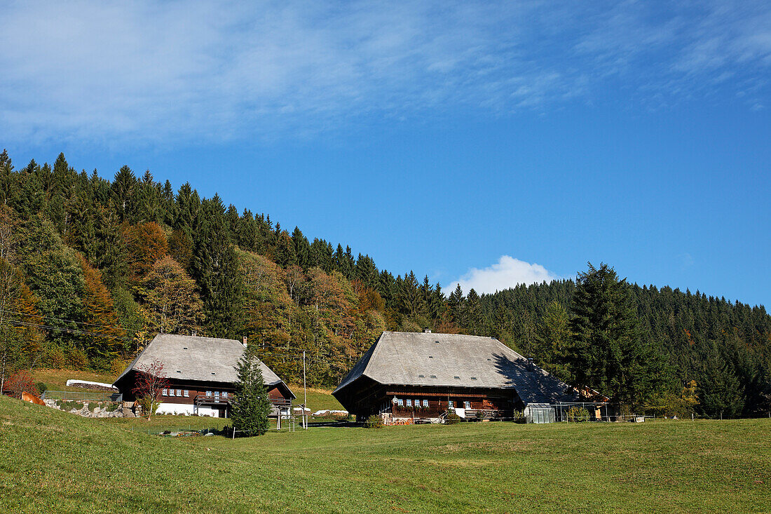 Black forest farm near Feldberg, Baden-Wurttemberg, Germany