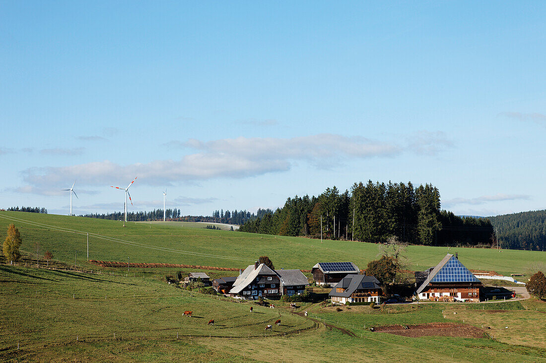 Farmhouses, Oberfallengrundhof, Furtwangen, Baden-Wurttemberg, Germany