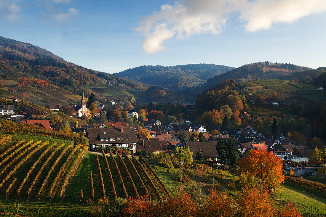 Blick über Sasbachwalden im  Herbst, Baden-Württemberg, Deutschland