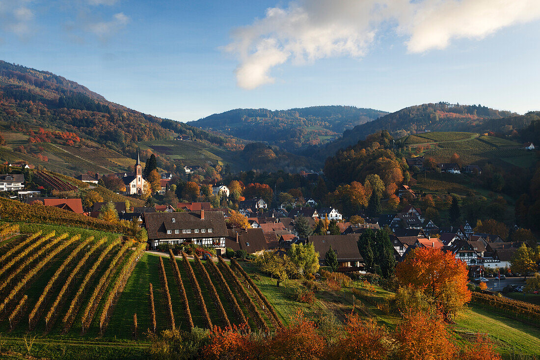 View over Sasbachwalden in autumn, Sasbachwalden, Baden-Wurttemberg, Germany