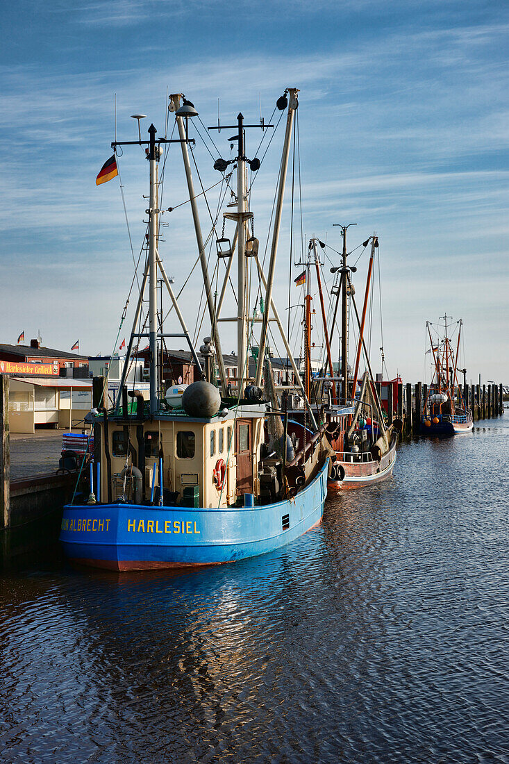 Cutters in port, Carolinensiel-Harlesiel, East Frisia, Lower Saxony, Germany