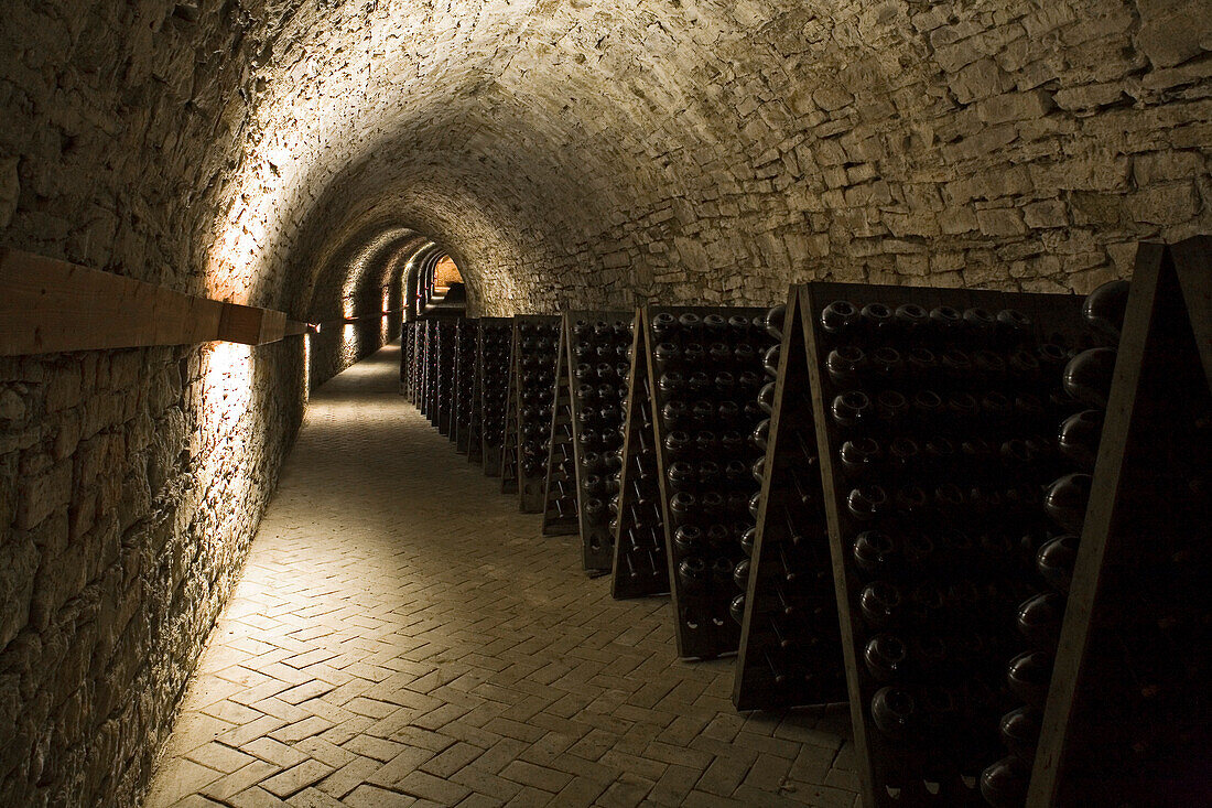 sekt bottles, shelf storage, in cellar, Schloss Landestrost, Neustadt am Rübenberge, Lower Saxony, Germany