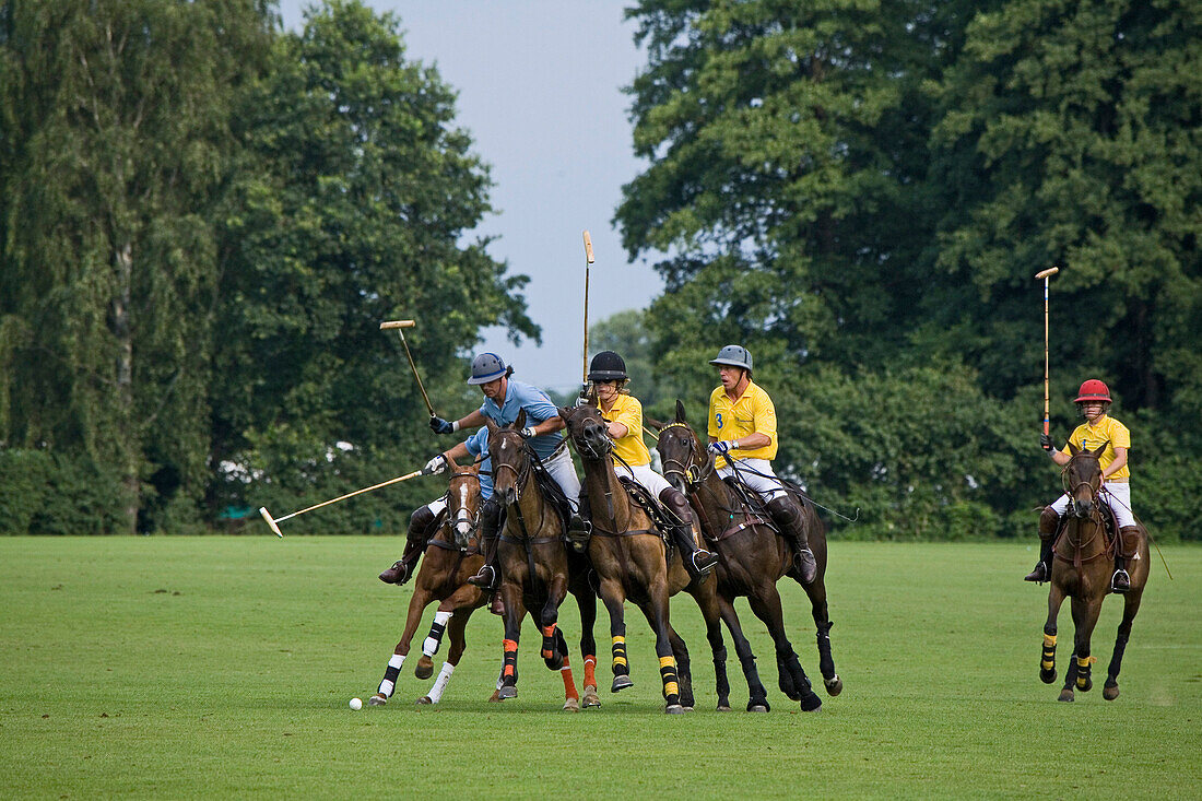 Polo-Turnier, Langenhagen-Maspe, Green, Bäume, Reiter mit Polo-Schlägern galoppieren über das Green