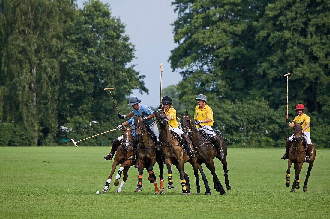 polo game, horse, Maspe, Lower Saxony, Germany