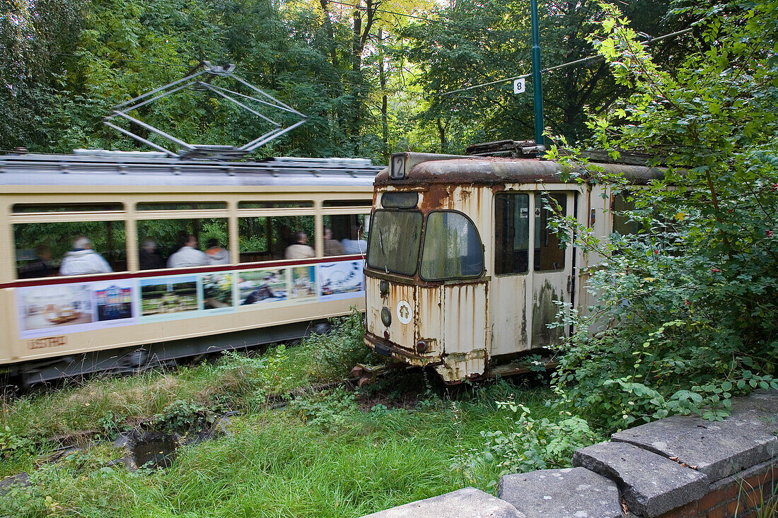 Alter unrenovierter Straßenbahnzug im Straßenbahnmuseum Wehmingen, Büsche, Unkraut