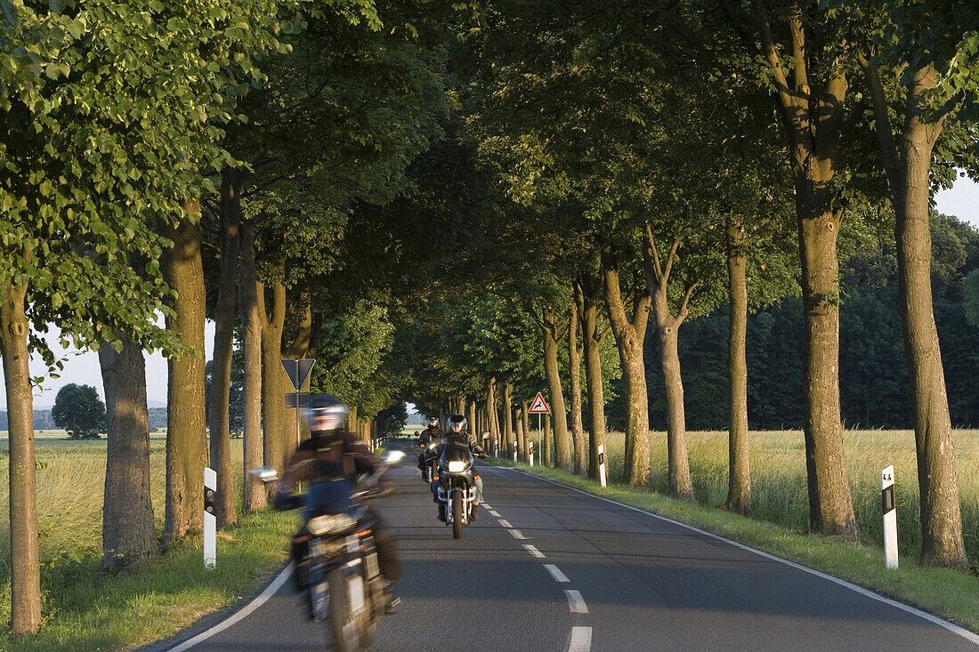 Motorcyclists on the way, Calenberg Land, Lower Saxony, Germany