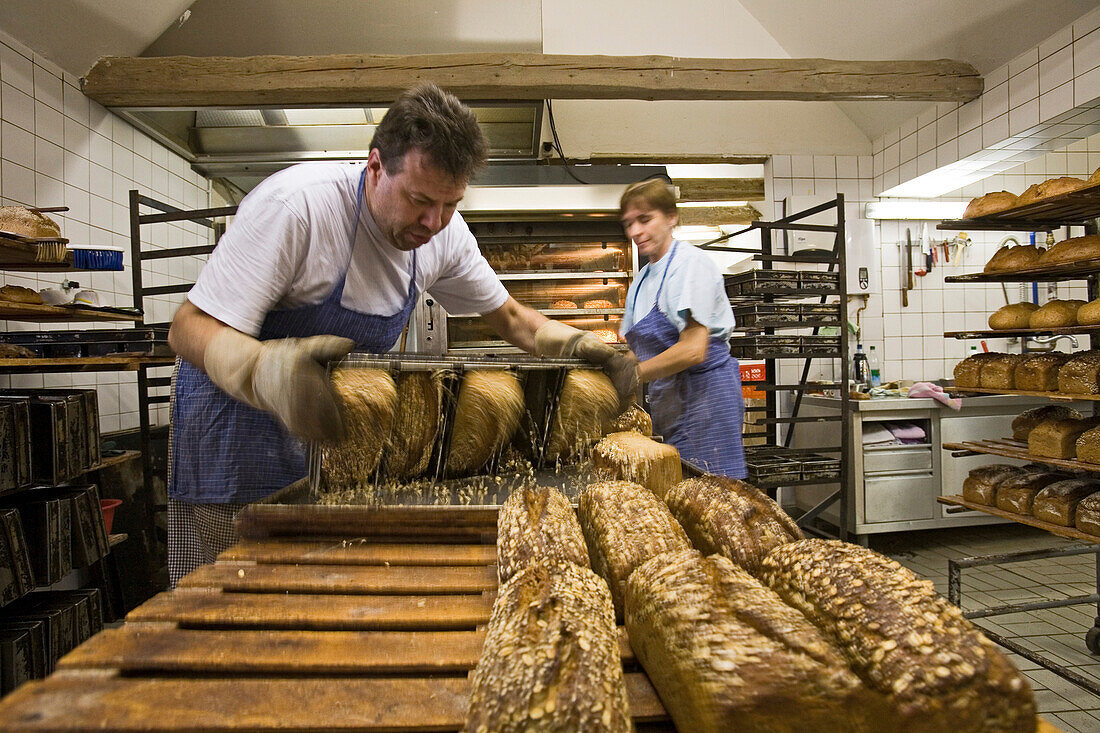 Backstube in der Hofbäckerei Bundschuh in Stöckendrebber, Bäcker nimmt Brot aus dem geöffneten Backofen, Regale gefüllt mit Broten, Vollkornbrot, ökologisch