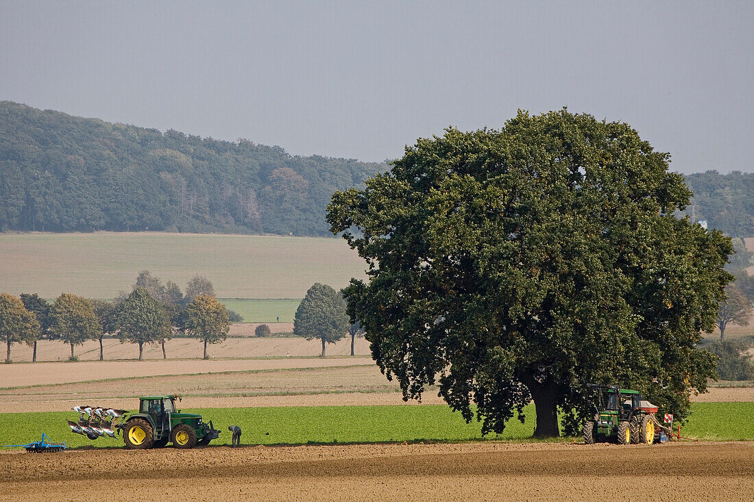 Traktor, Pflug, Feld, Baum, Hügellandschaft