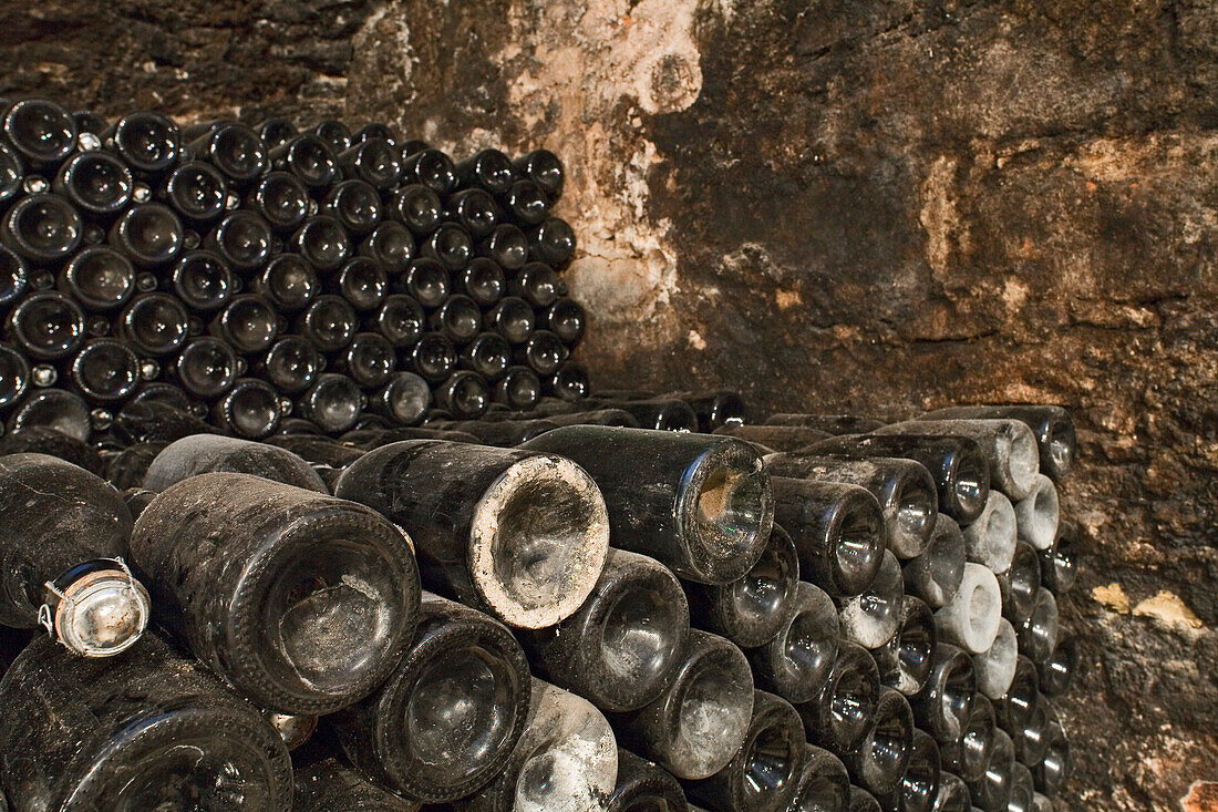 Sektflaschen lagern in den Gewölben vom Schloss Landestrost, Regale gefüllt mit Sektflaschen, Niedersachsensekt lagert in Holzgestellen