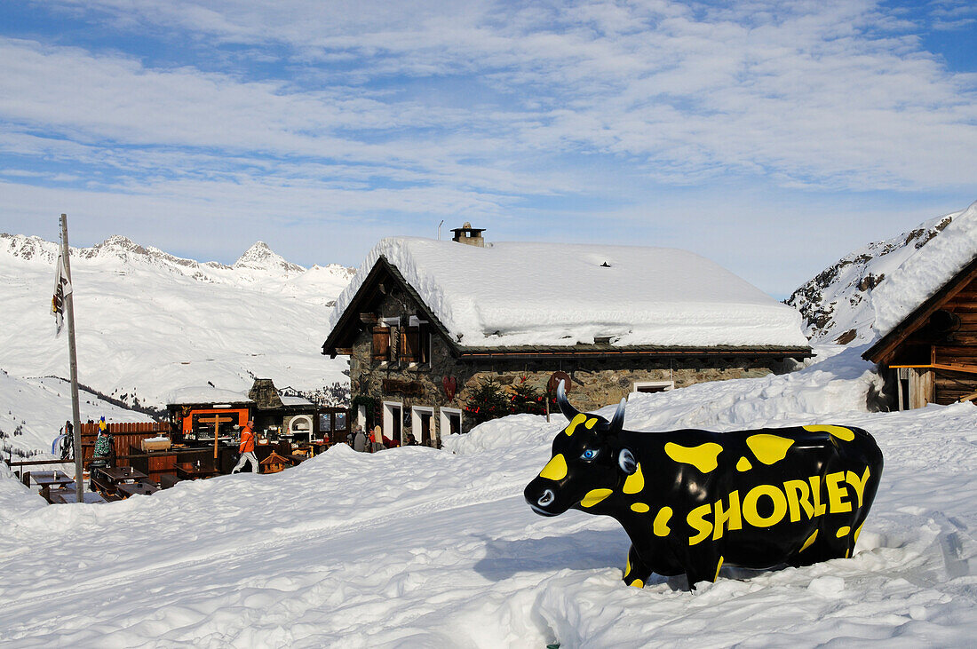Snowboarder, Diavolezza Skigebiet, Sankt Moritz, Graubuenden, Schweiz, Model Released