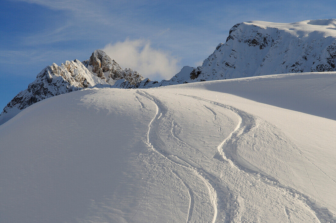 Traces in the snow, South Tyrol, Italy