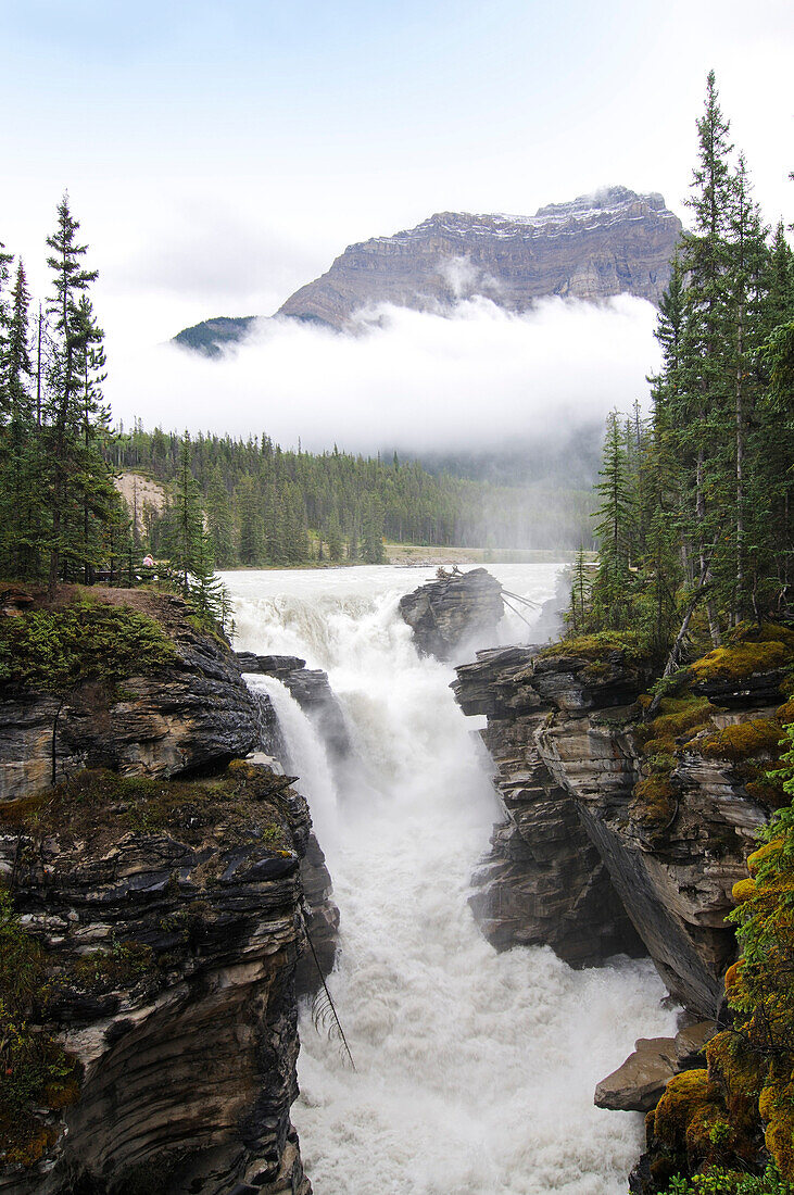 Mistaya Canyon, Jasper National Park, Alberta, Kanada