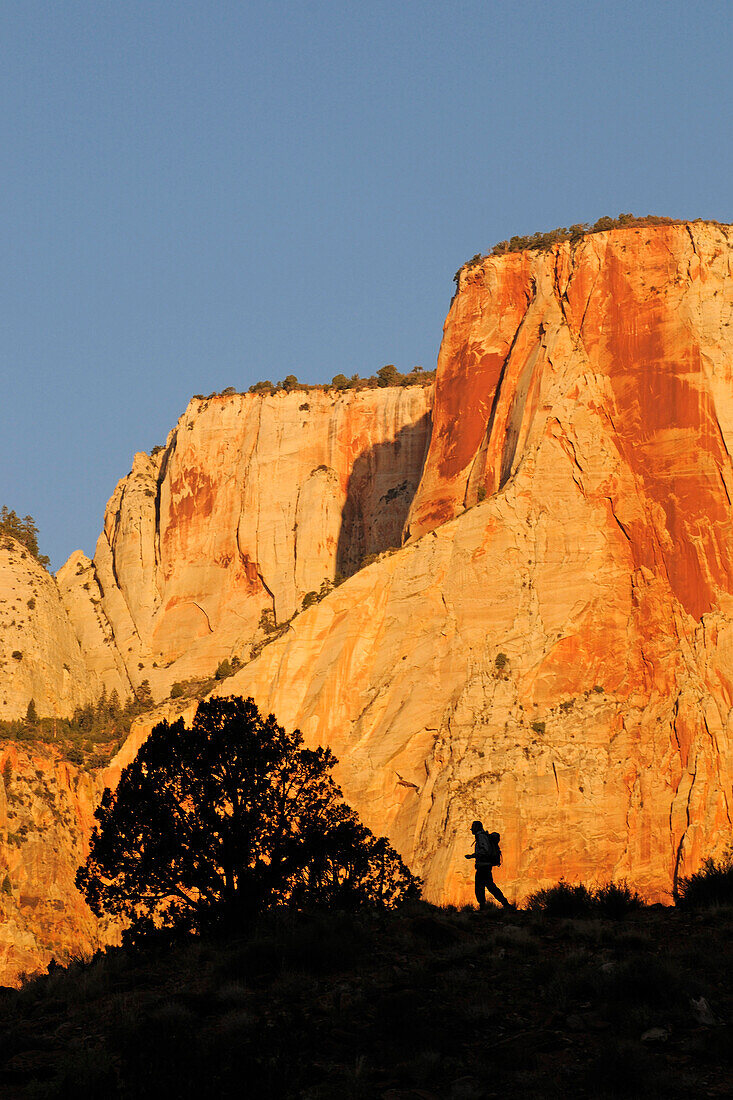 Towers of the Virgin, Zion National Park, Utah, USA