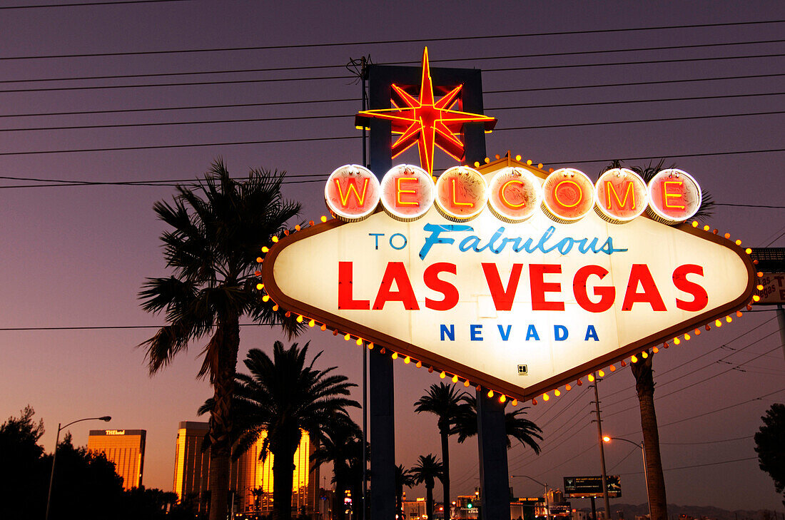Neon signs, Las Vegas, Nevada, USA