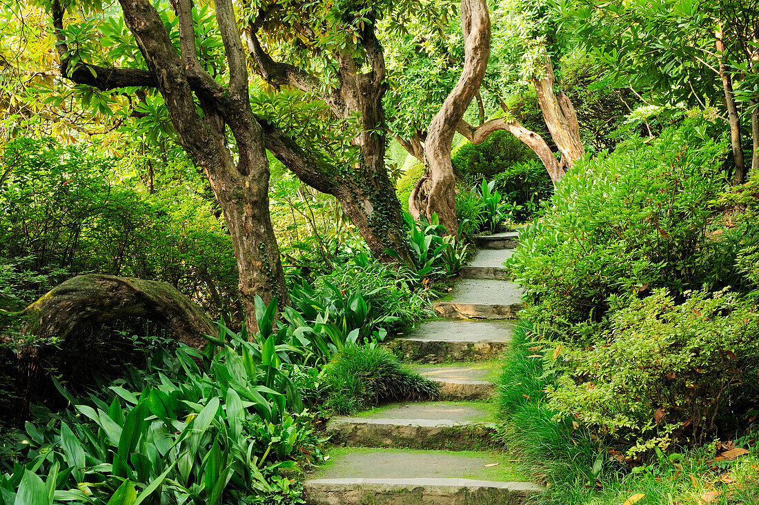 Treppe in einem Park, Comer See, Lombardei, Italien