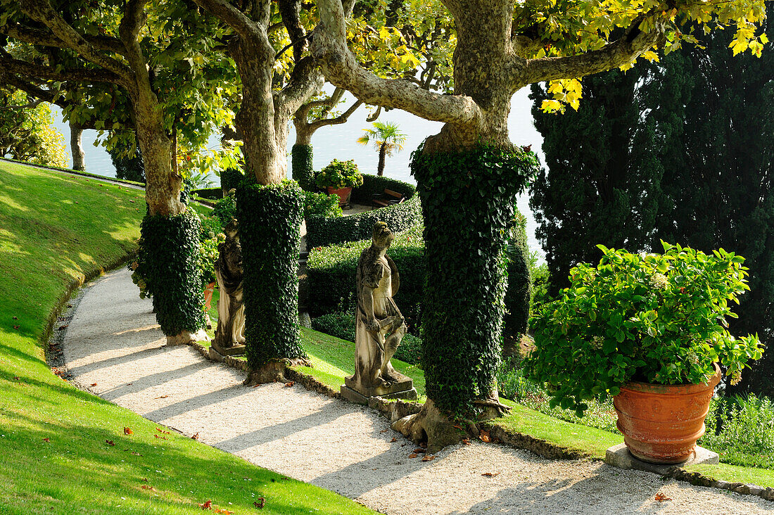 Weg mit Platanen im Park der Villa del Balbianello, Lenno, Comer See, Lombardei, Italien