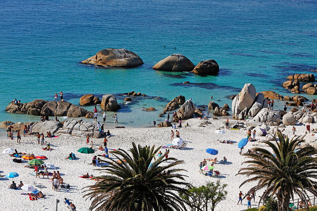 Leute am Strand, Clifton, Kapstadt, West-Kap, RSA, Südafrika, Afrika