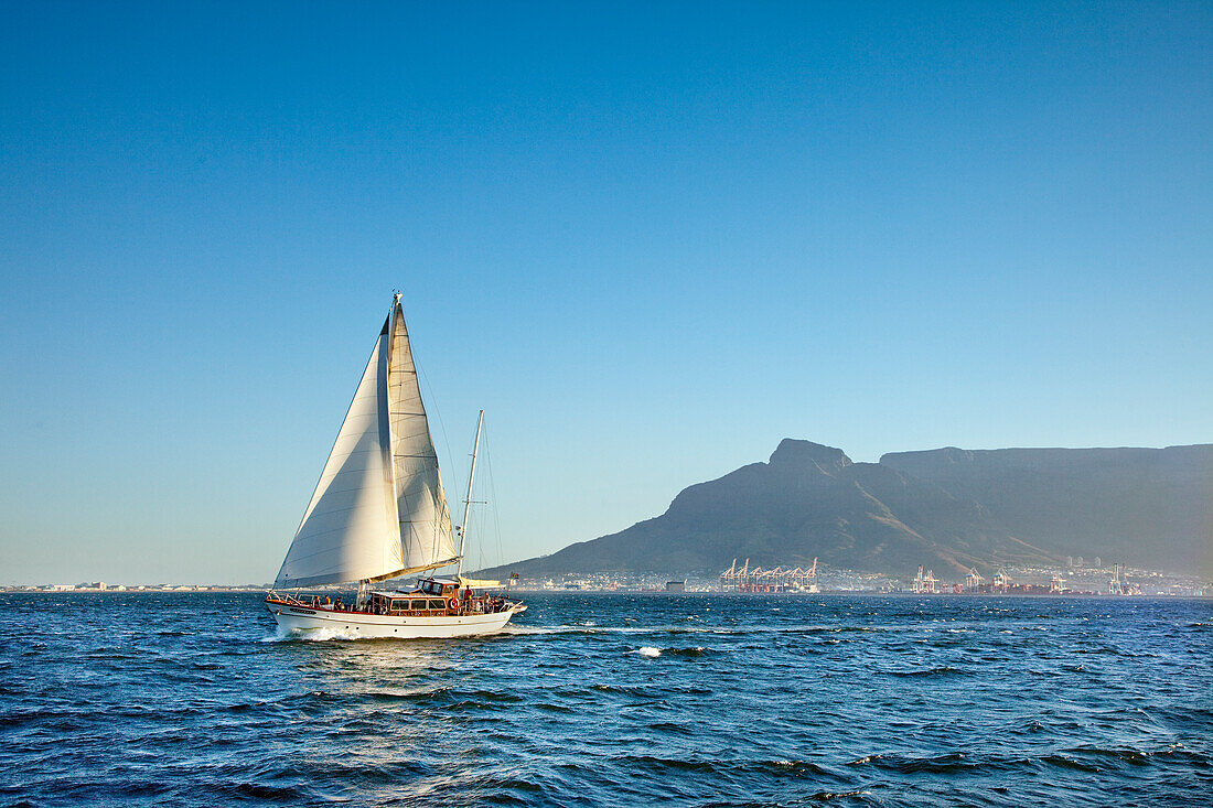 Sailing boat, View towards Table Mountain, Cape Town, Western Cape, South Africa, Africa