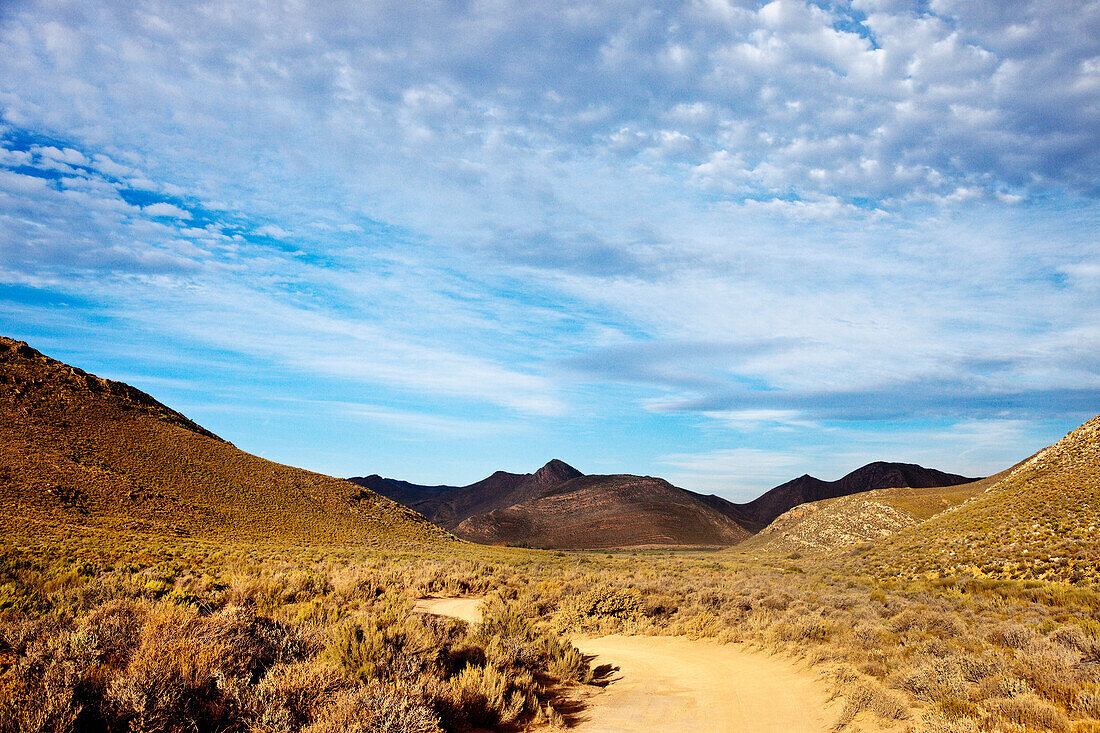 Mountains near Aquila Lodge, Cape Town, Western Cape, South Africa, Africa