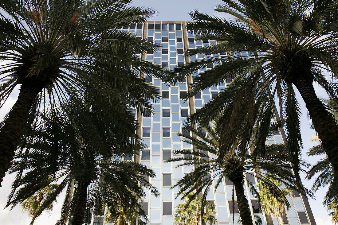 Florida,  Miami Beach,  Lincoln Road,  building,  mid-century architecture,  palm trees,  design