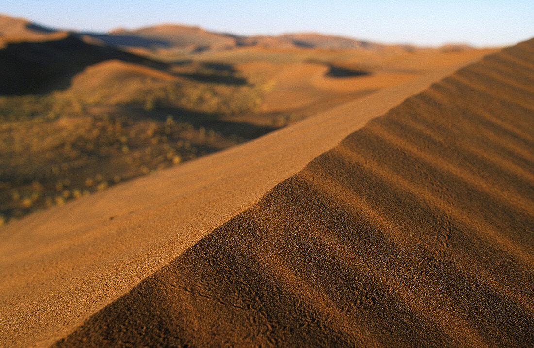 Namibia _ Desert impressions