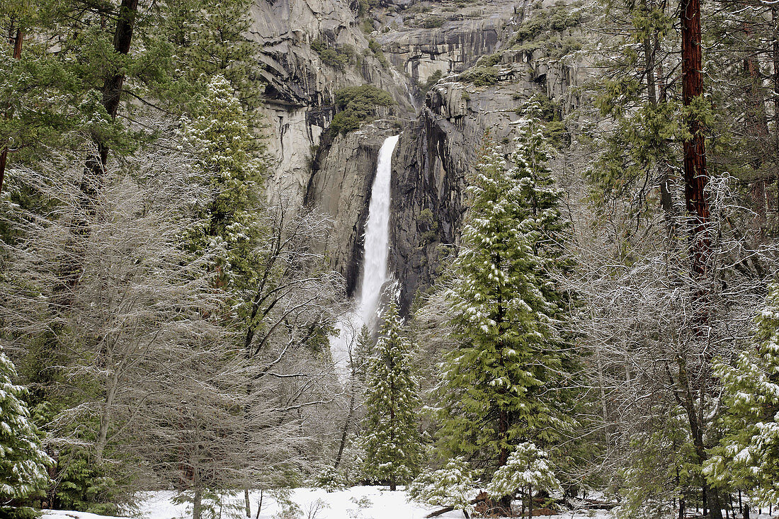 Scenic photo of Yosemite Falls in Yosemite National Park of California taken in the winter