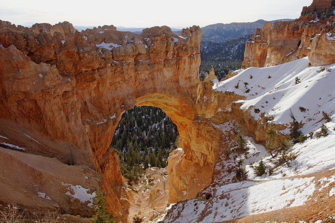 A beautiful natural arch in Bryce Canyon National Park,  in the state of Utah,  USA