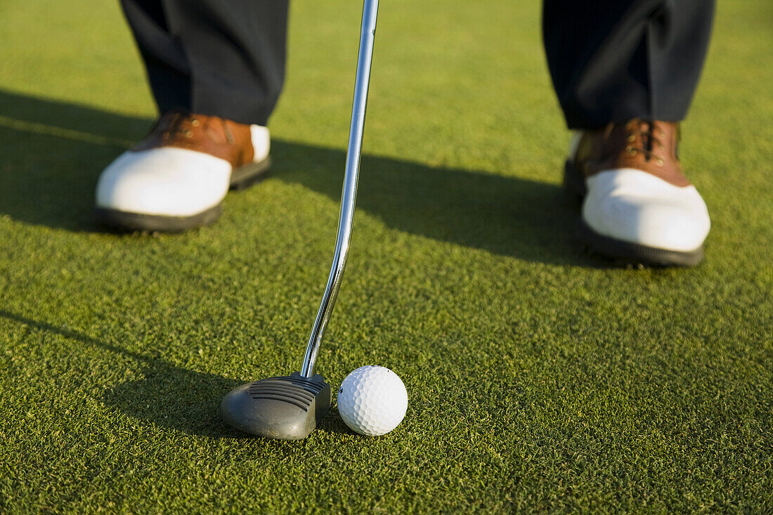 GOLF Adult middle aged male practice putting on green at public course in Deerfield,  Illinois,  address ball with putter