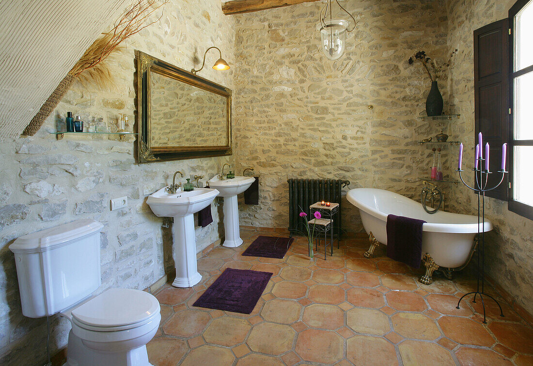 Bathroom with individual bathtub in a country house