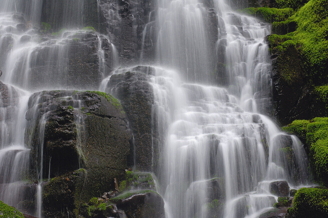 Fairy Falls in Columbia River Gorge Columbia River Gorge National Scenic Area,  Multnomah County,  Oregon,  USA,  America