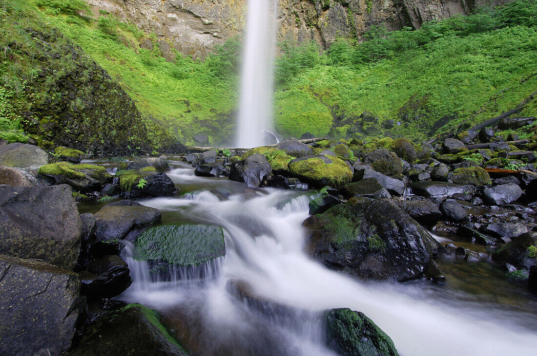 Brook with Elowah Falls John Yeon State Park,  Columbia River Gorge National Scenic Area,  Multnomah County,  Oregon,  USA,  America