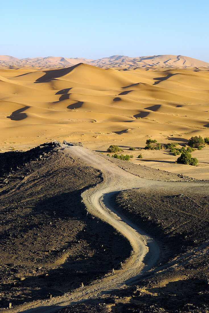 Desert dunes in Morocco,  Africa.