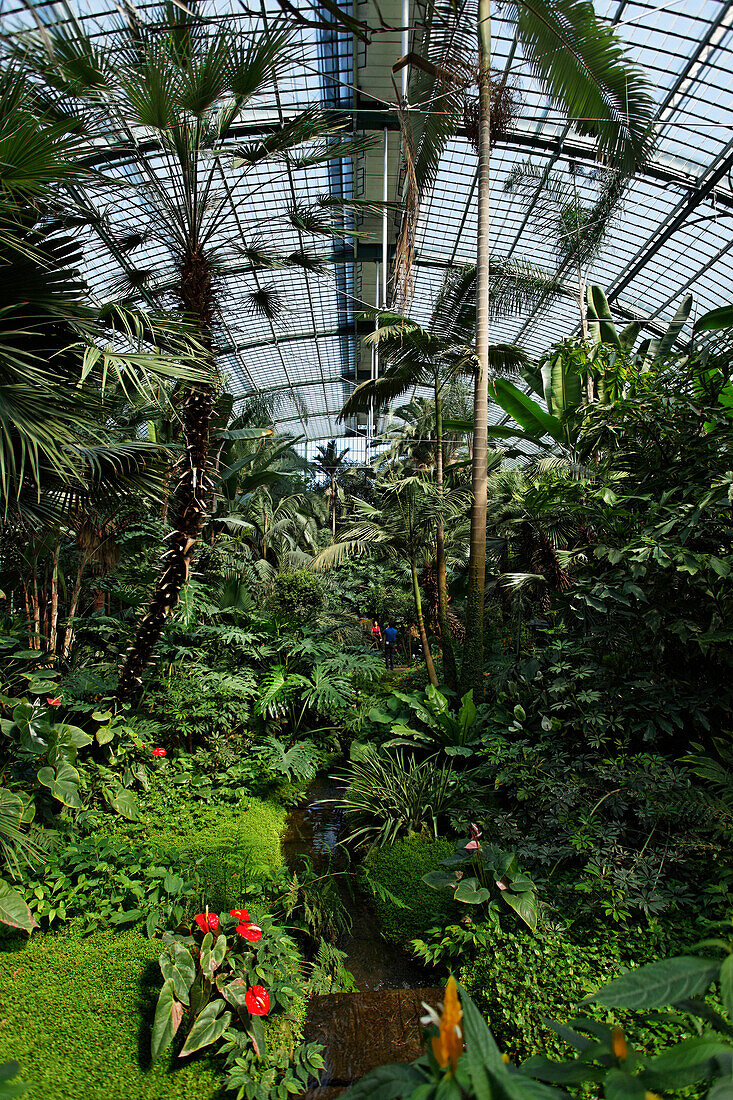 Palmengarten, Frankfurt am Main, Hessen, Deutschland