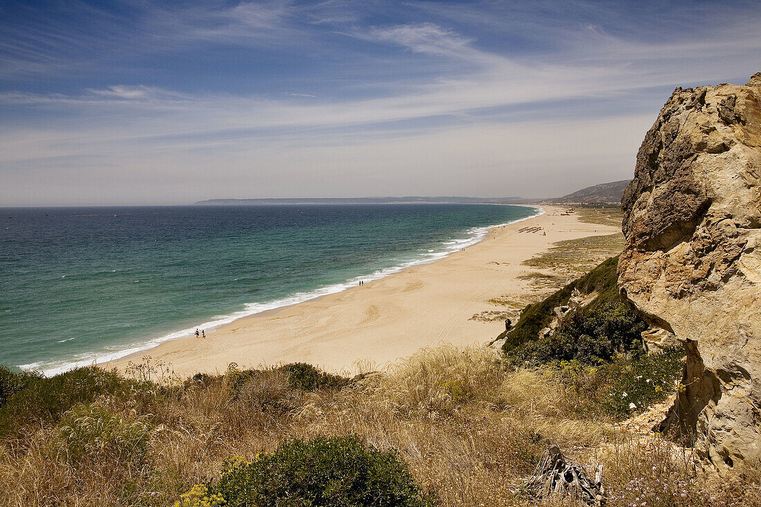 Beach,  Zahara de los Atunes,  Barbate. Costa de la Luz,  Cadiz province,  Andalucia,  Spain